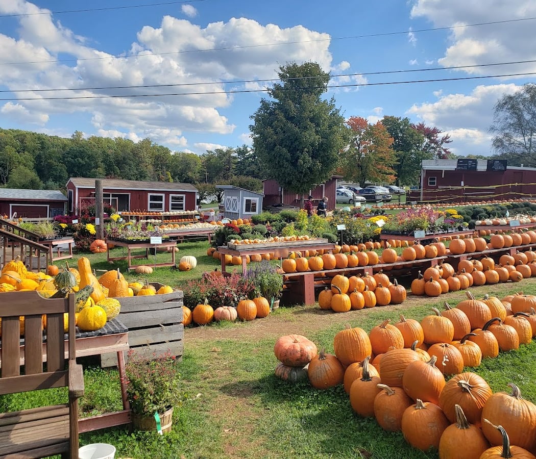 Weaver's Orchard Inc 1